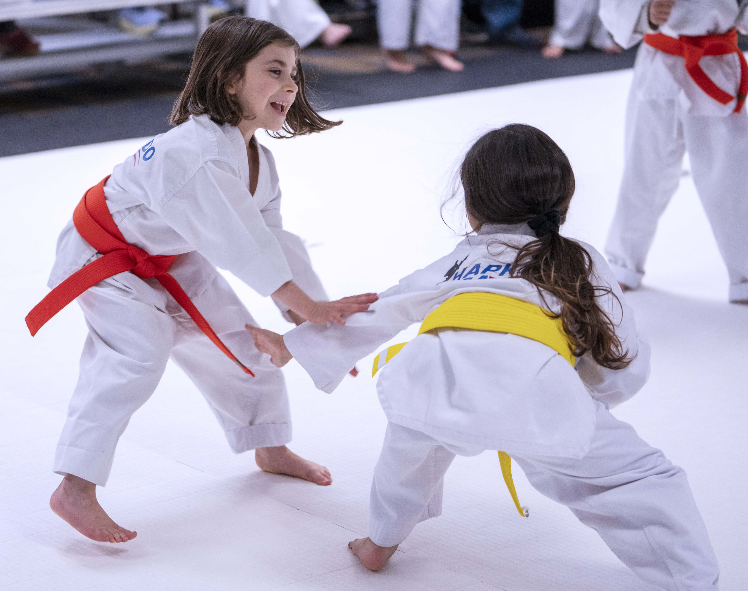 Family Classes